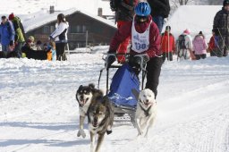 Lenk 2012 SM